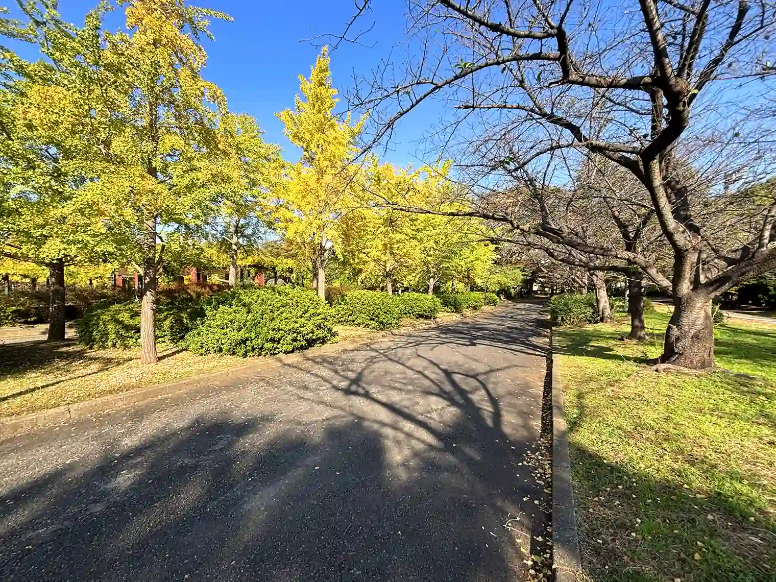 遊歩道