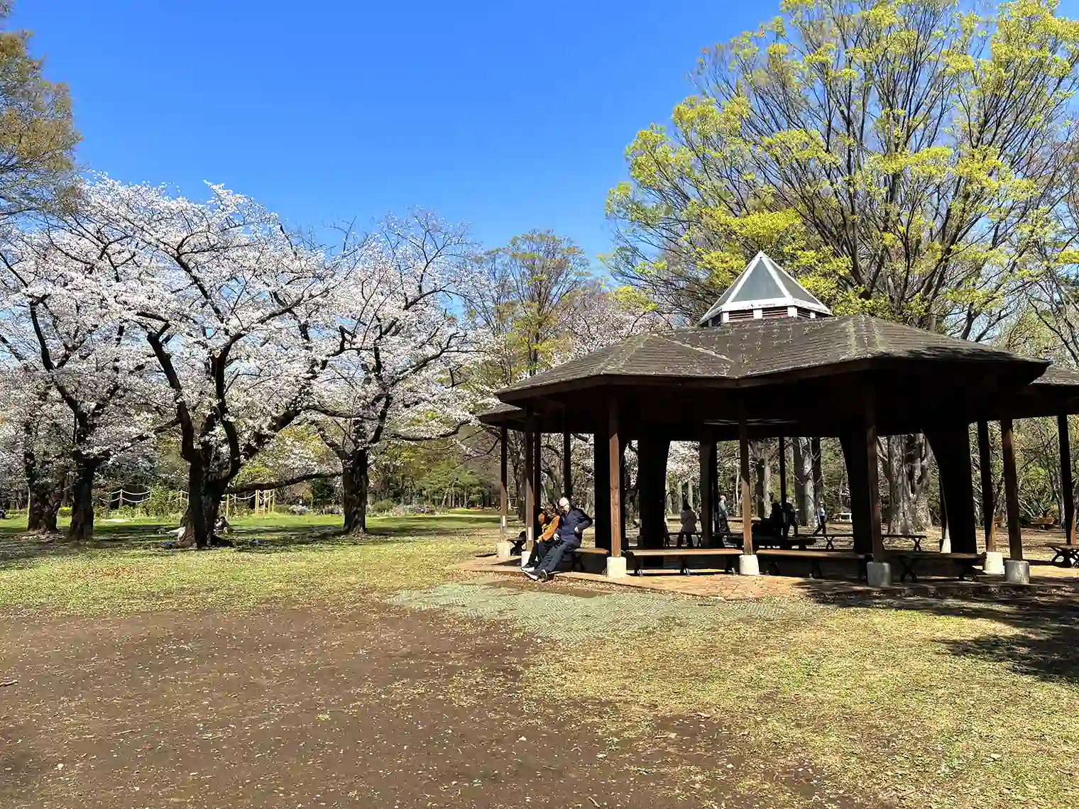 六角の休憩舎（中央広場）