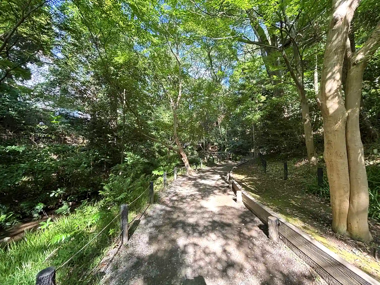 散策路