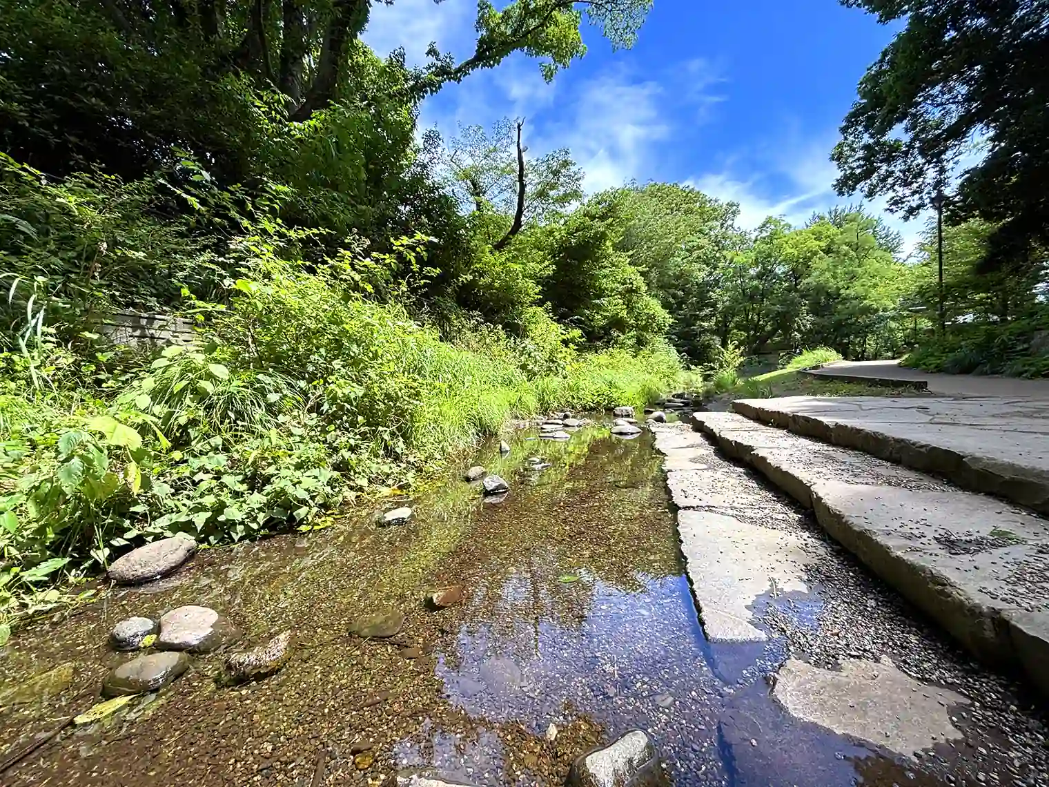 遅野井川