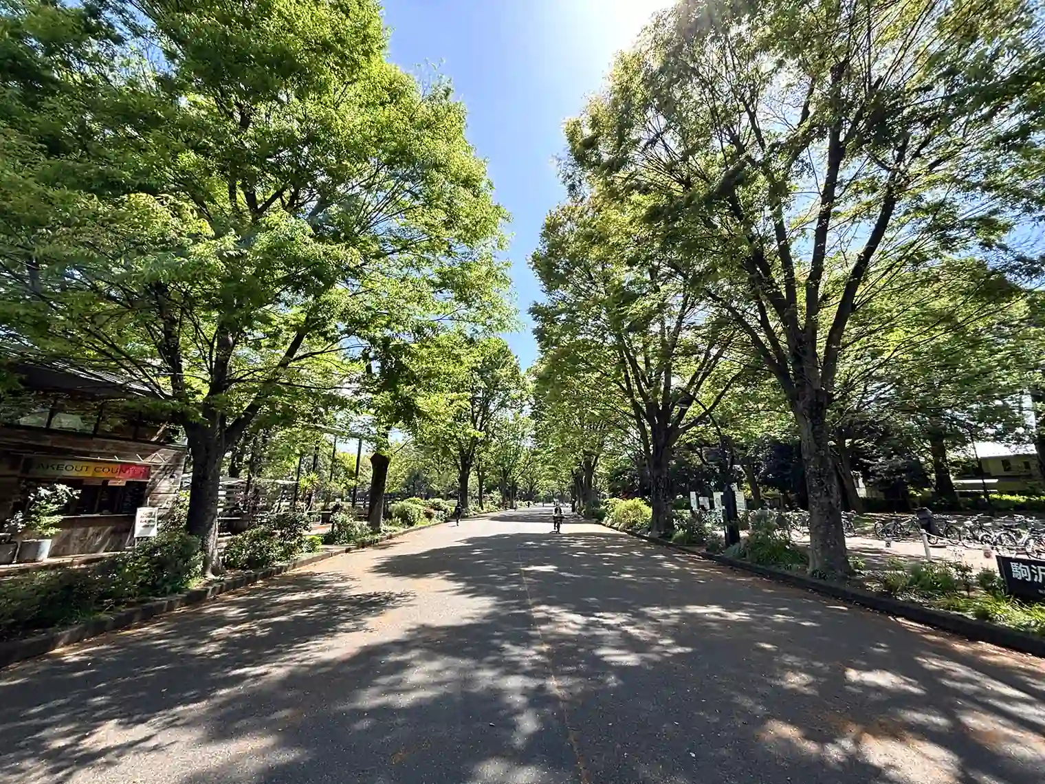 西口遊歩道