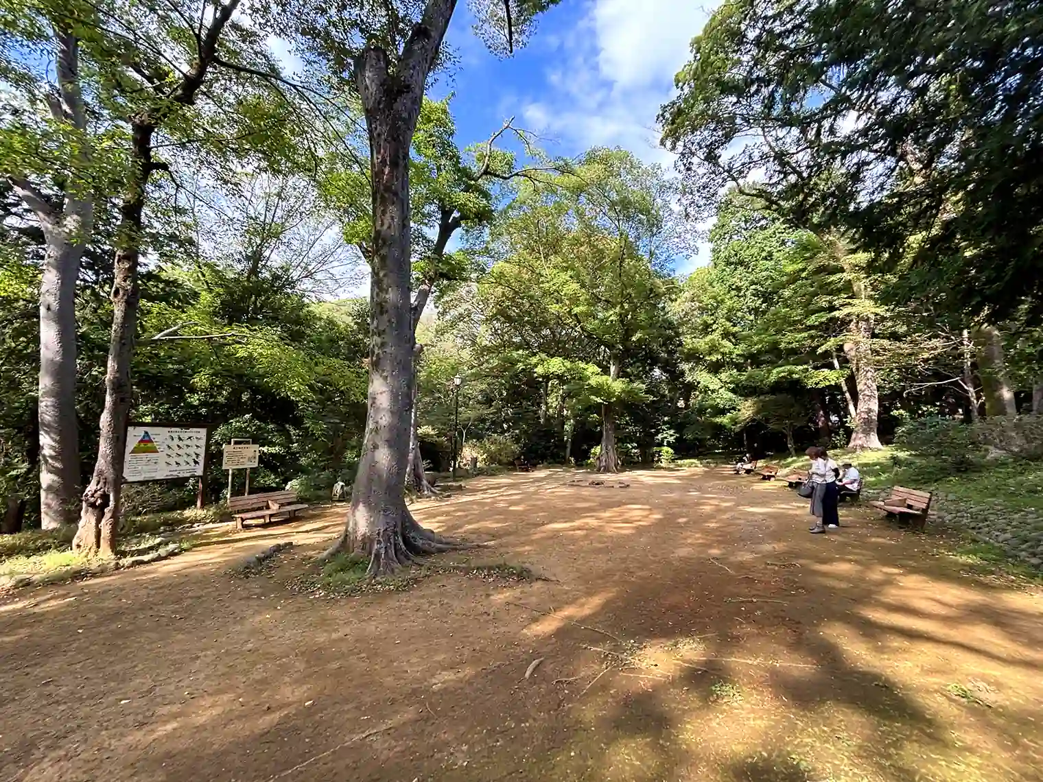 広場