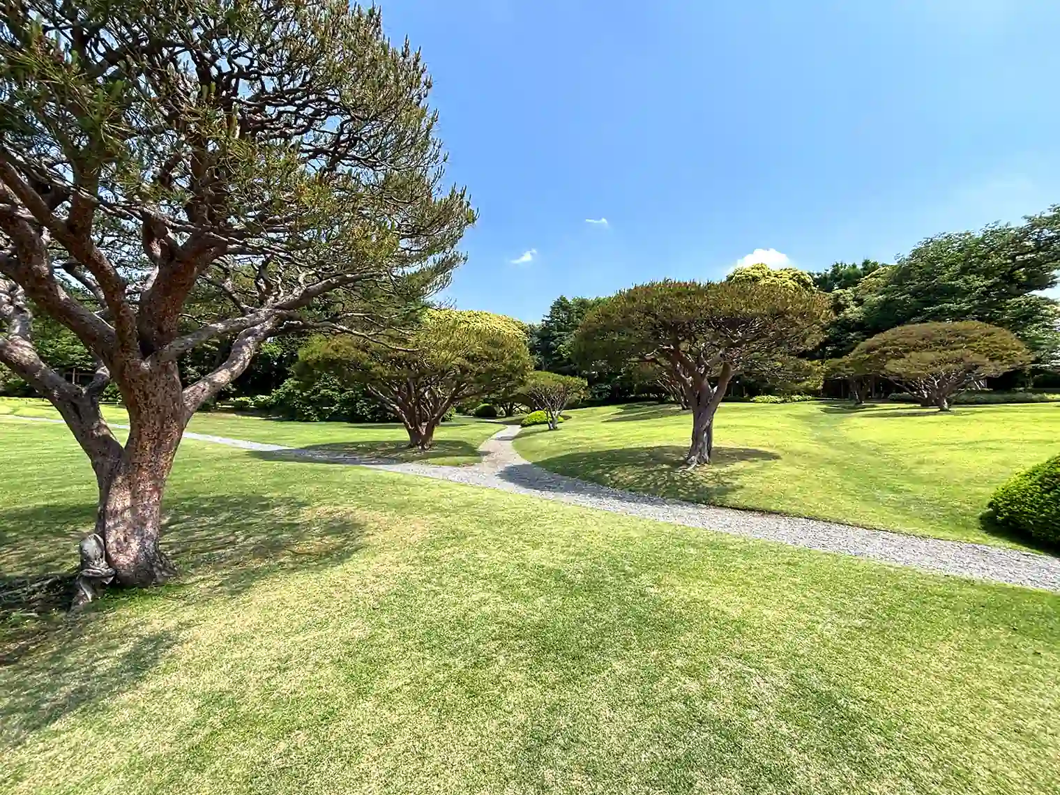 茶室前の小道（西エリア）