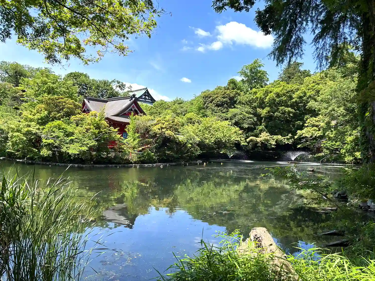 井の頭池