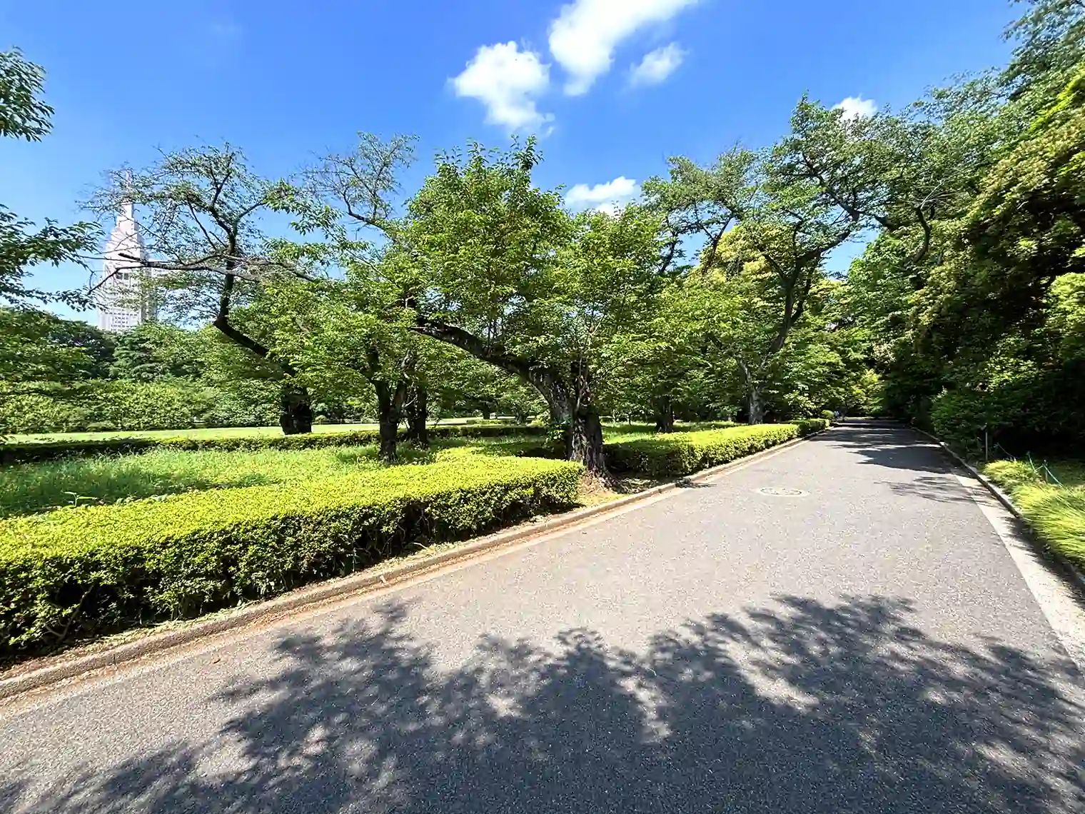 遊歩道（東エリア）