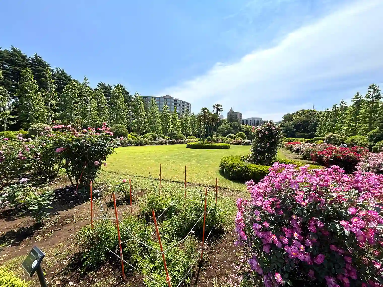 整形式庭園（東エリア）