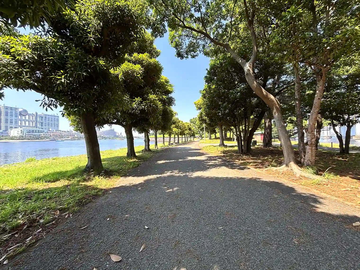 遊歩道