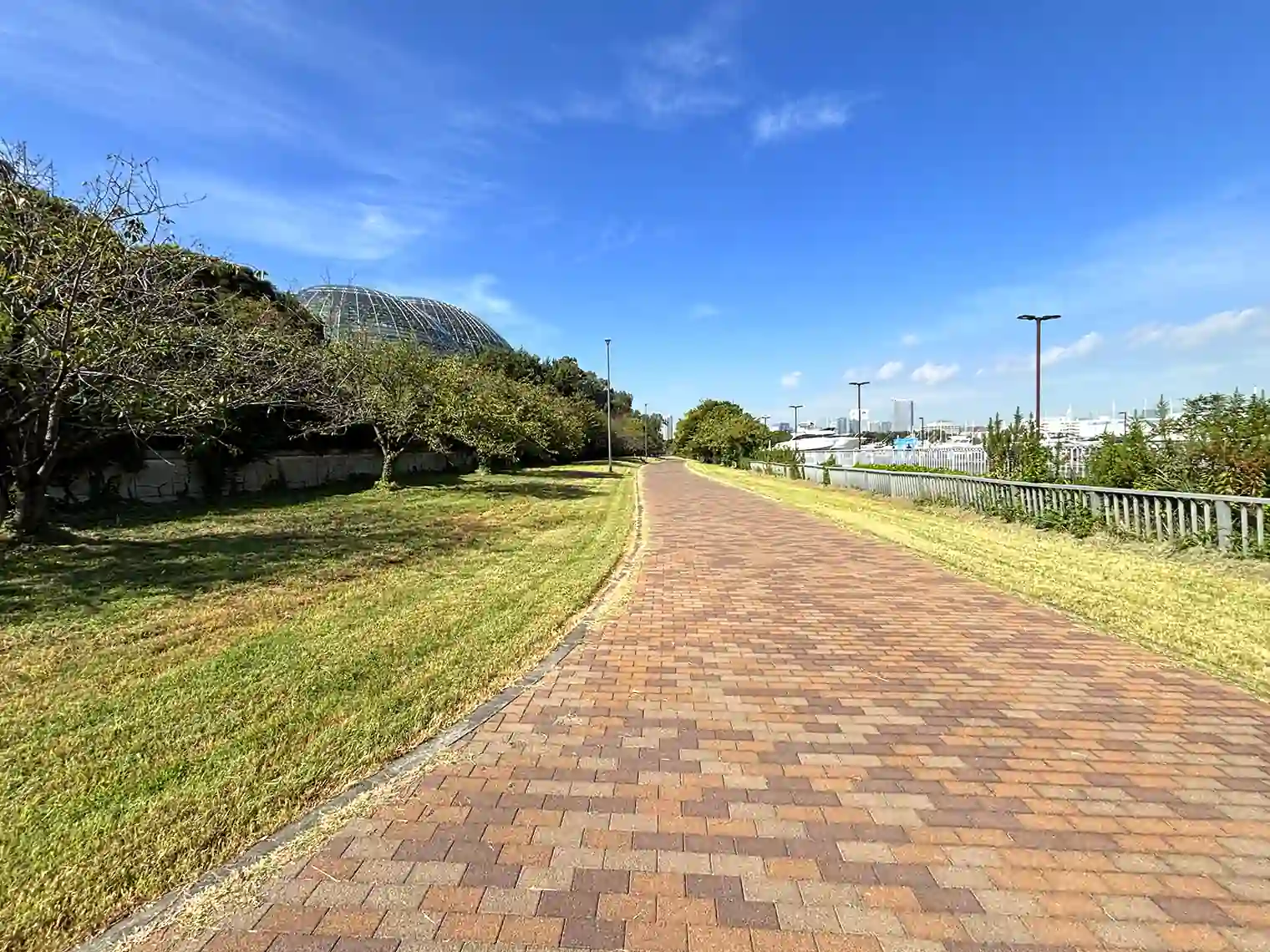 東京夢の島マリーナ横の遊歩道
