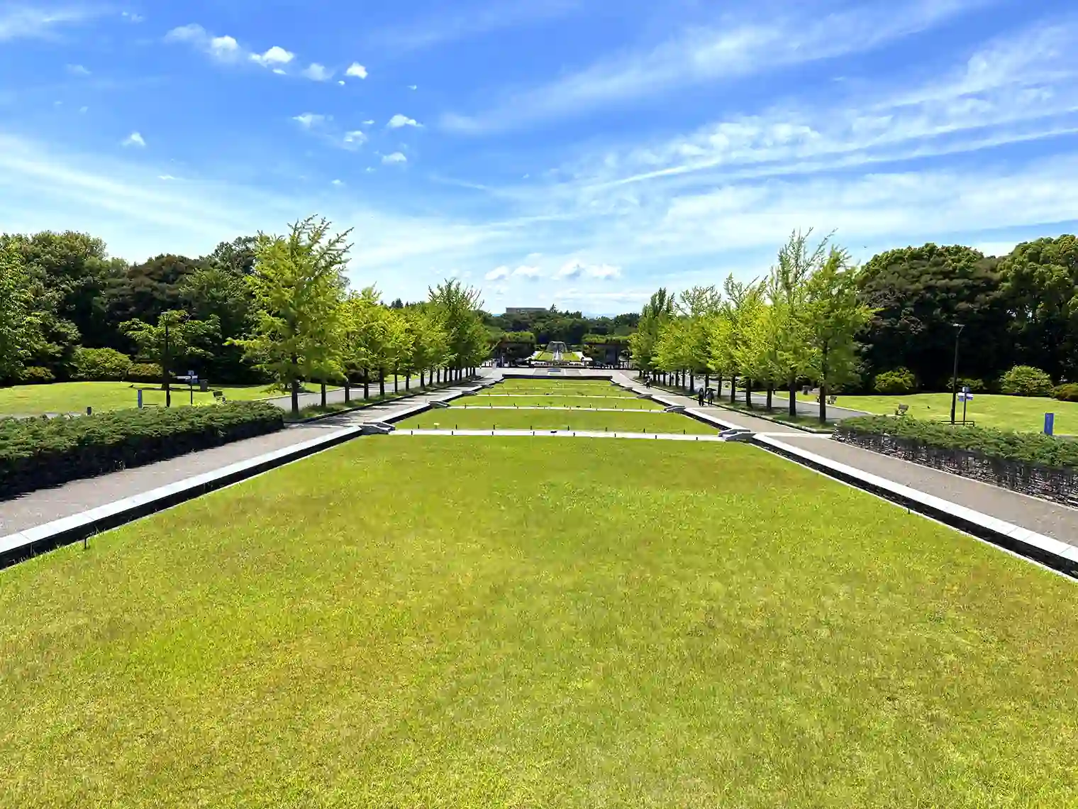 公園の風景