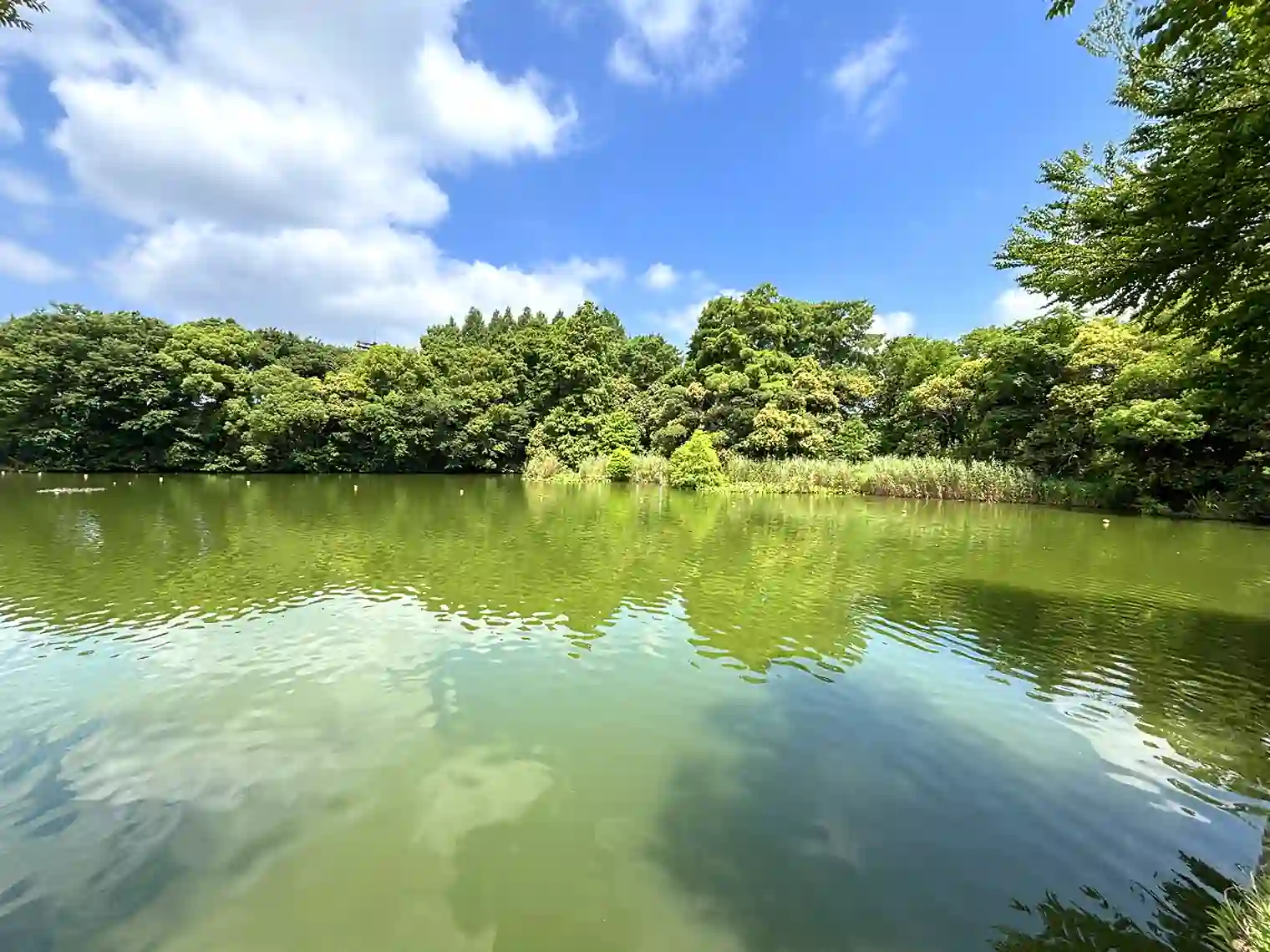 浮間ヶ池