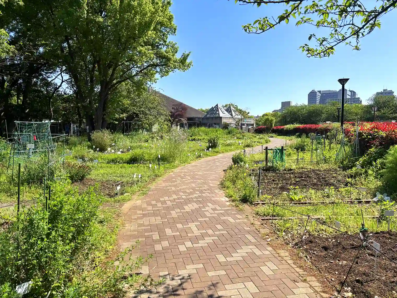 都市緑化植物園