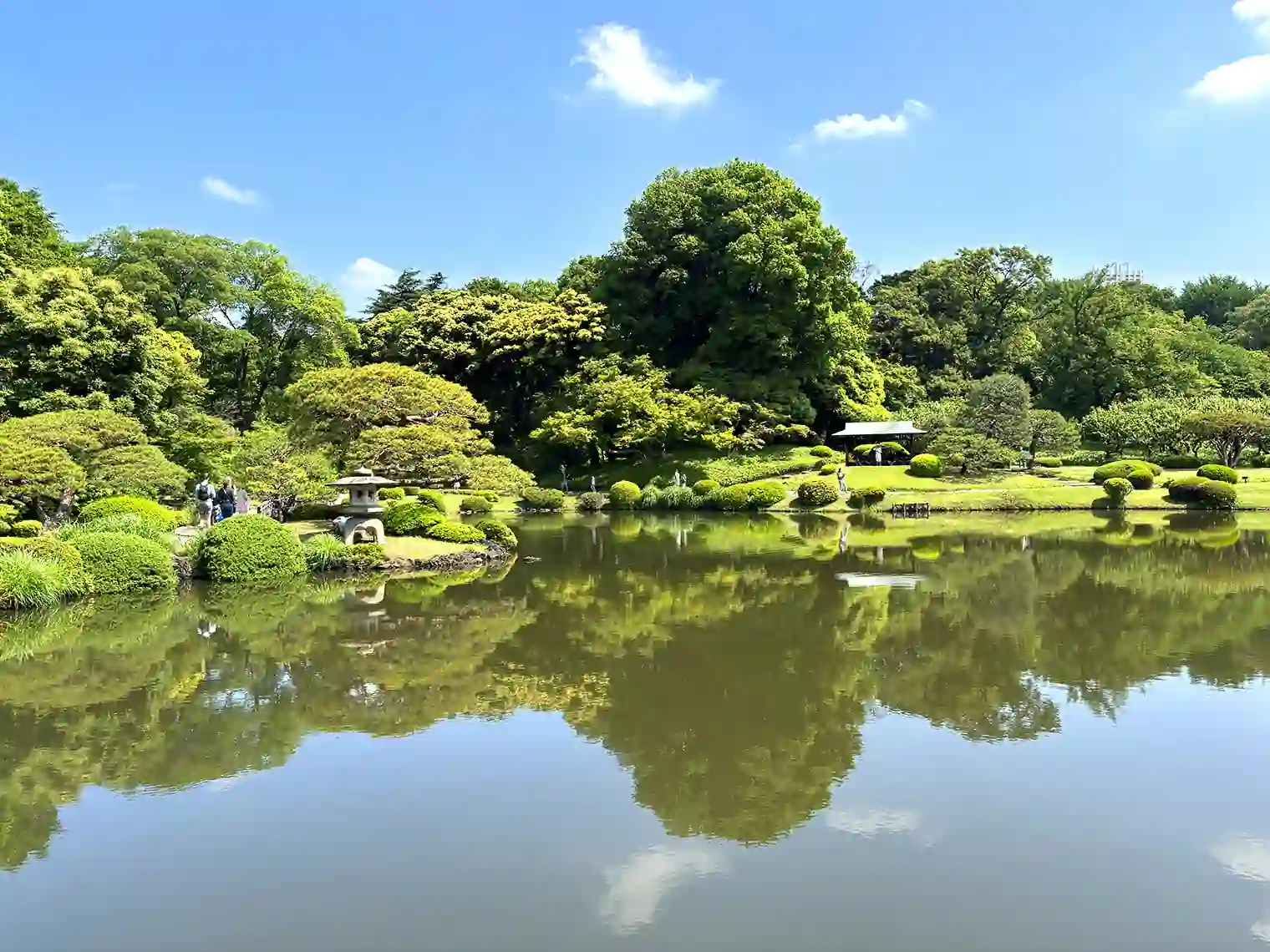 上の池（西エリア）