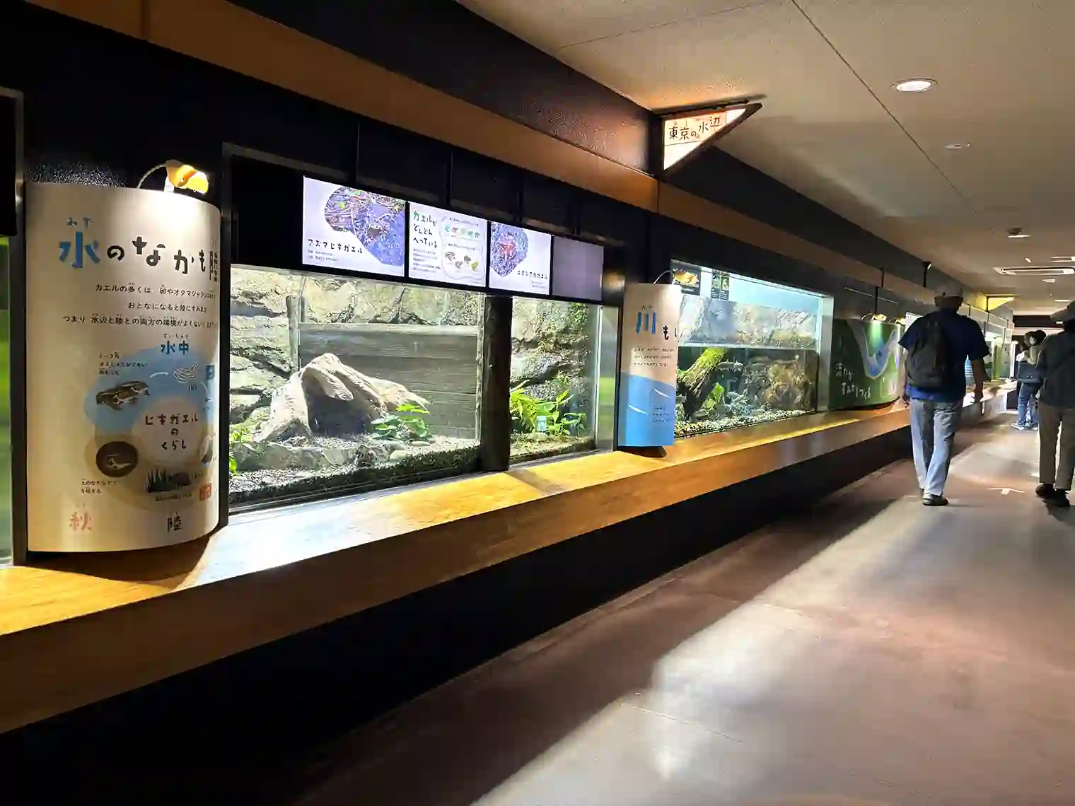 水生物館内