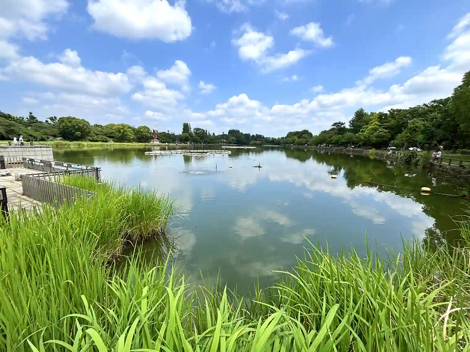 浮間ヶ池