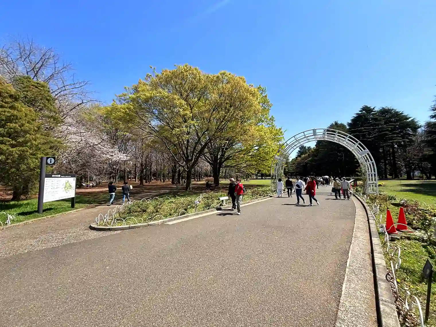 フラワーランド付近の遊歩道