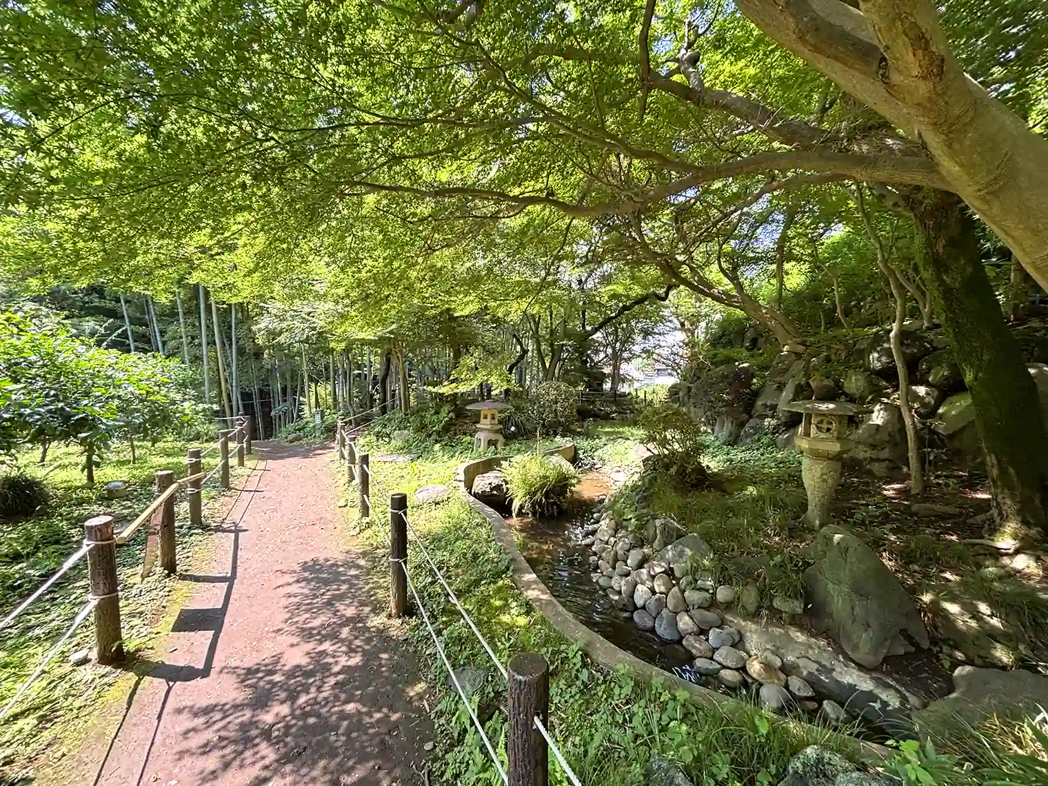 園路（日本庭園）