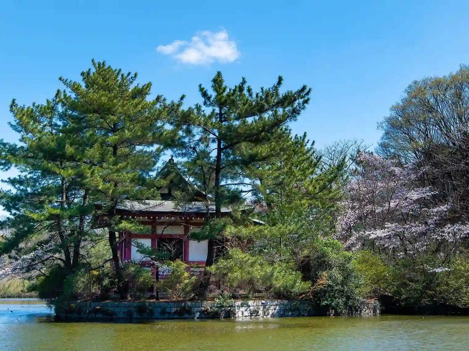 厳島神社［PIXTA画像］
