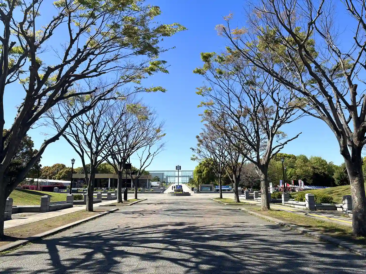 駅前広場から中央広場へ向かう道