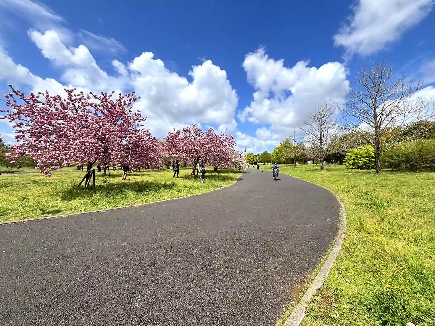 遊歩道（B地区）