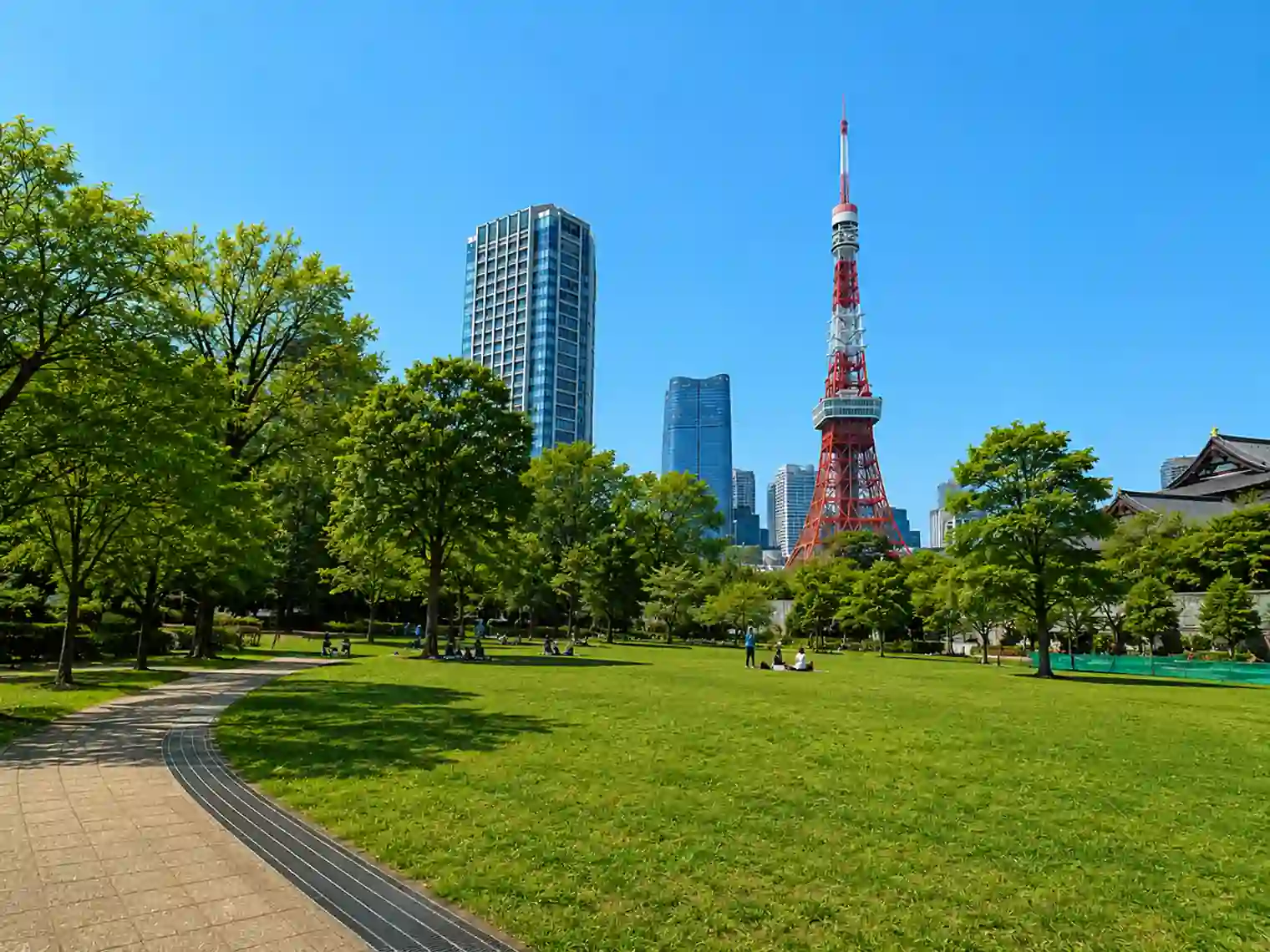 多目的広場（1号地）