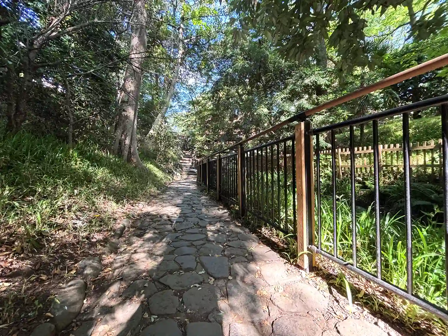 渓流沿い石畳遊歩道