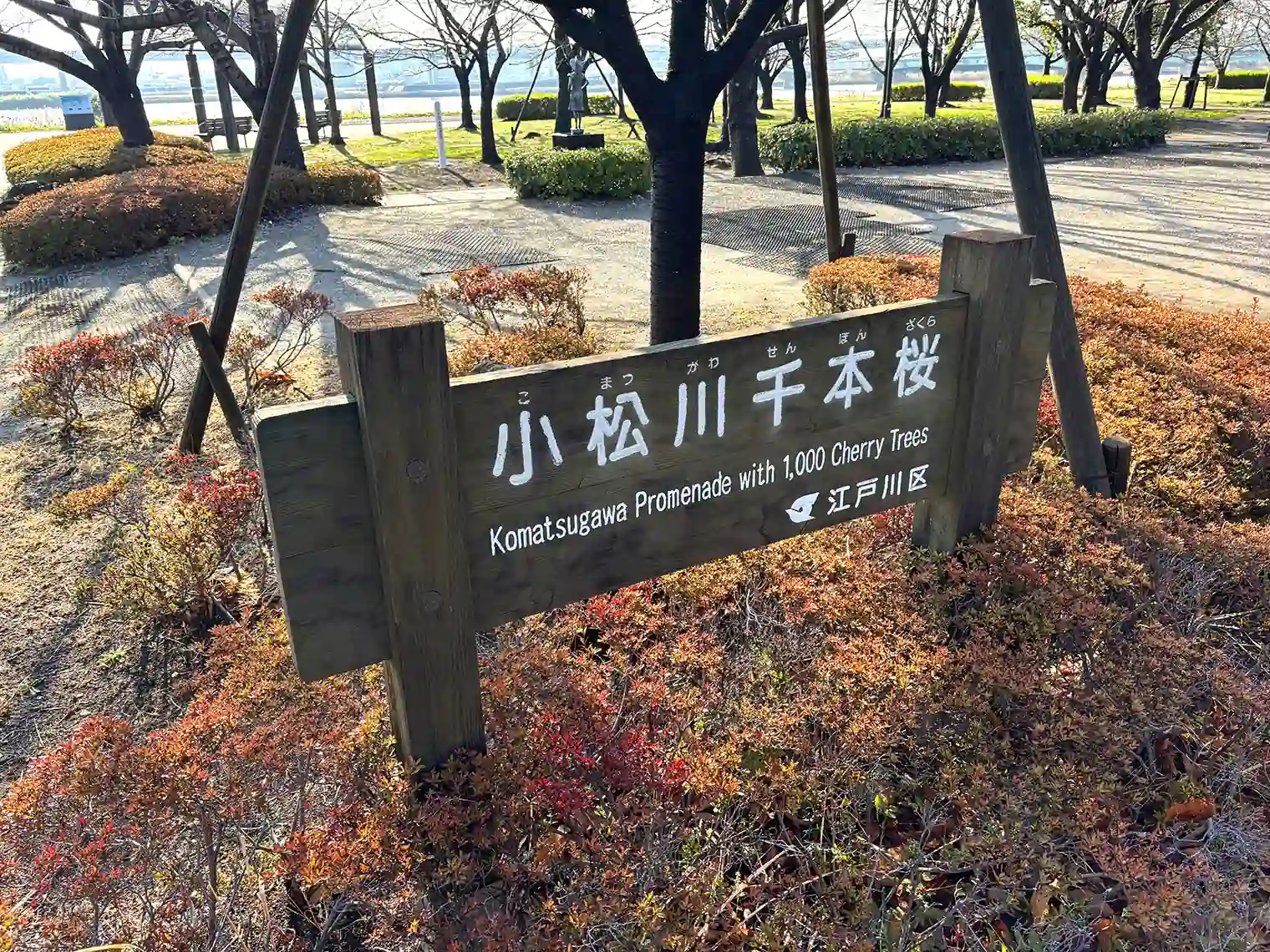 小松川千本桜（自由の広場エリア）