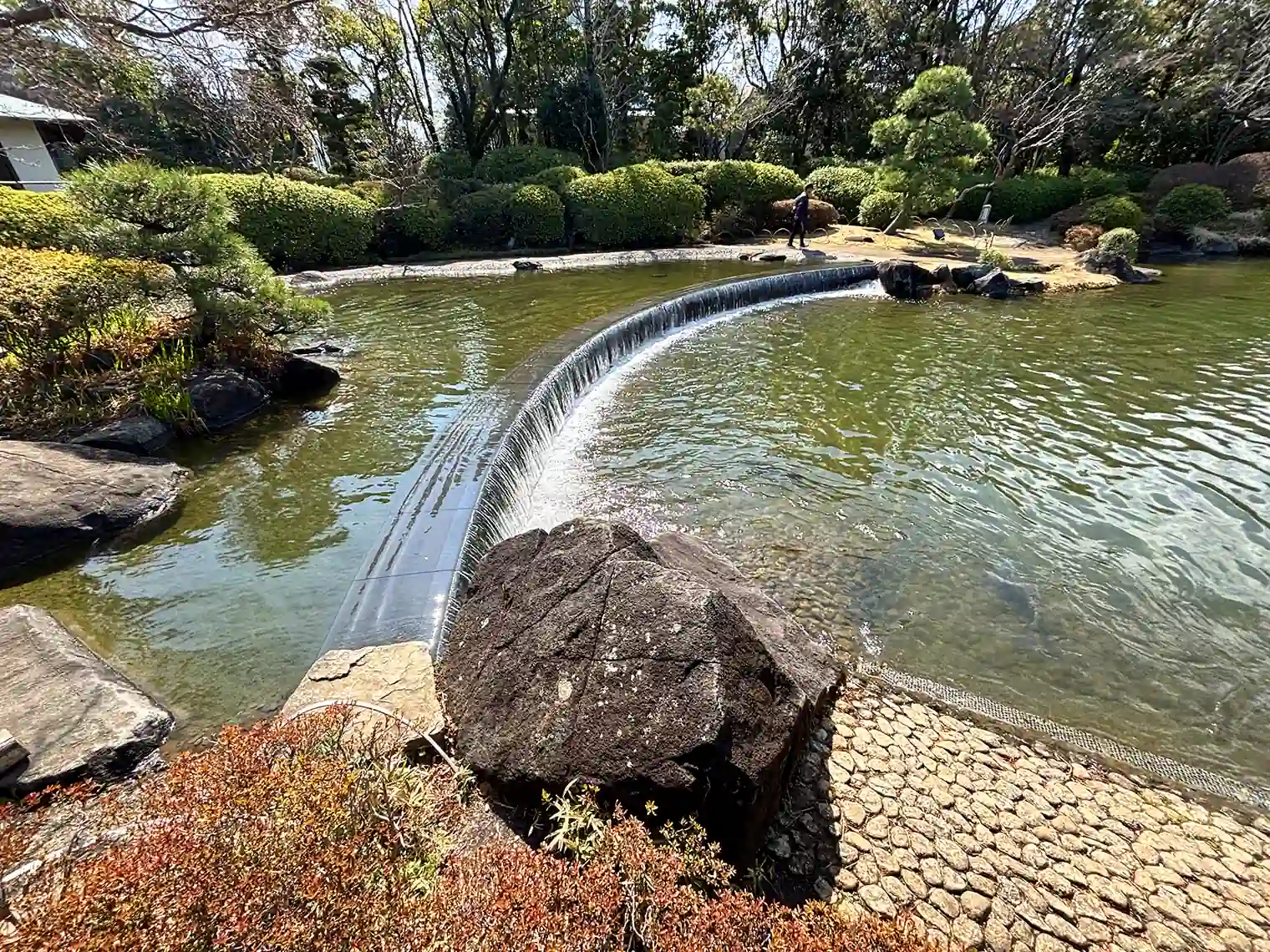 主池（江戸川平成庭園）