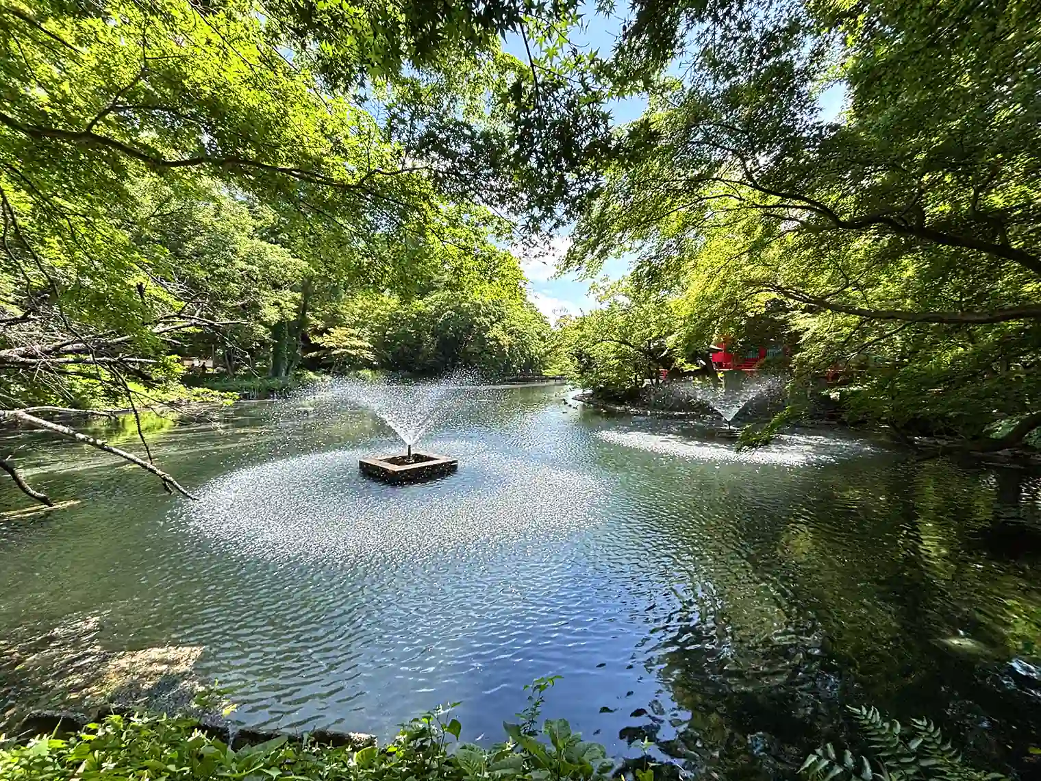 井の頭池