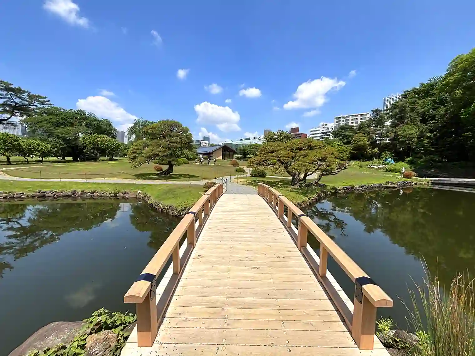 中の池（南エリア）