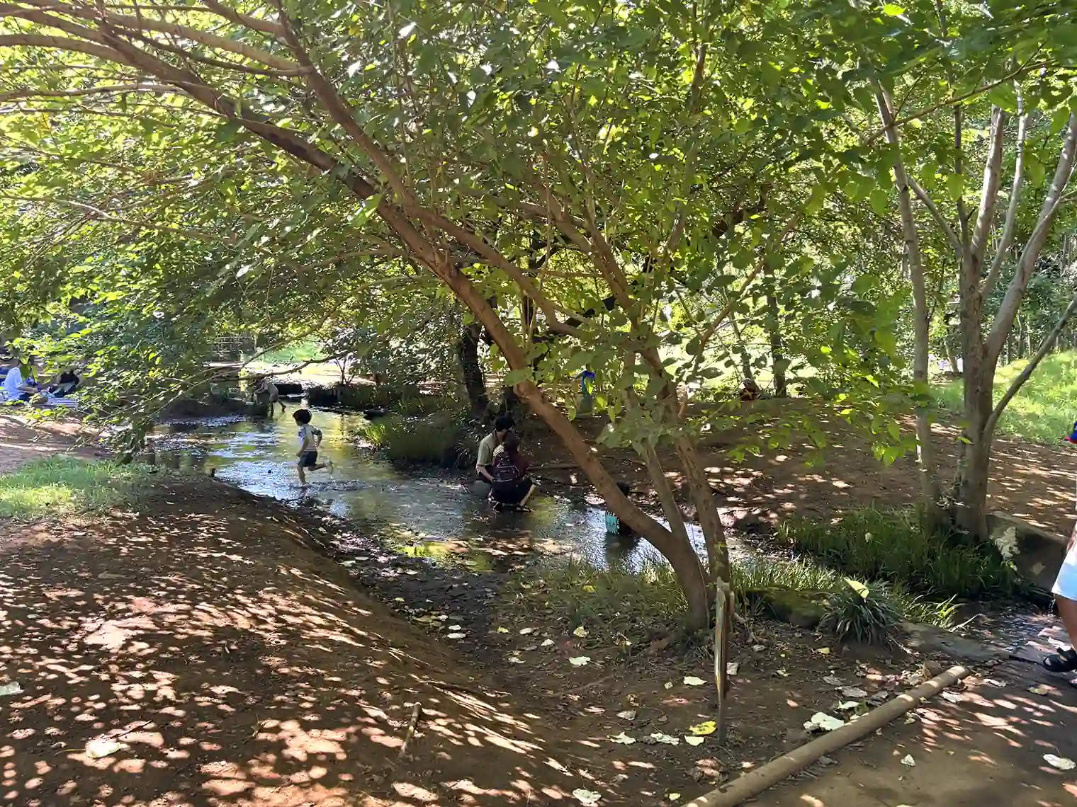 わき水広場