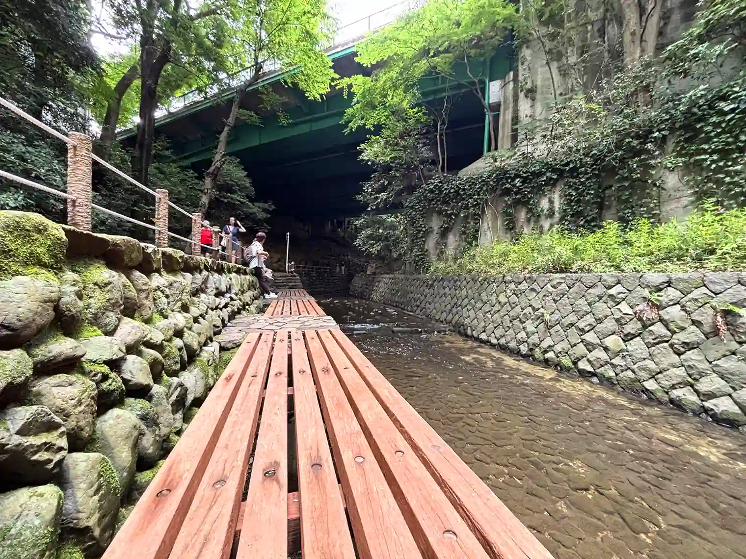 谷沢川沿いのベンチ