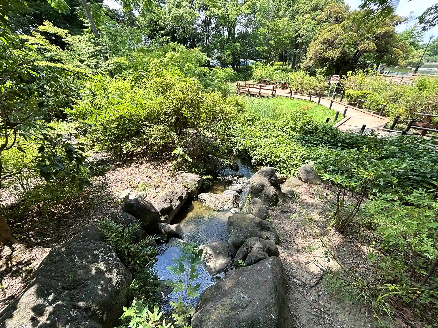 水生植物園