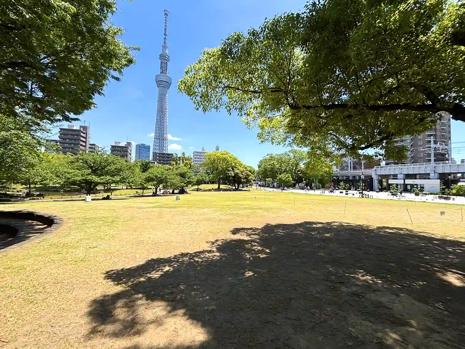 そよ風ひろばとスカイツリー