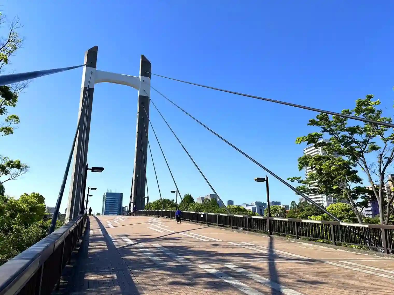 木場公園大橋