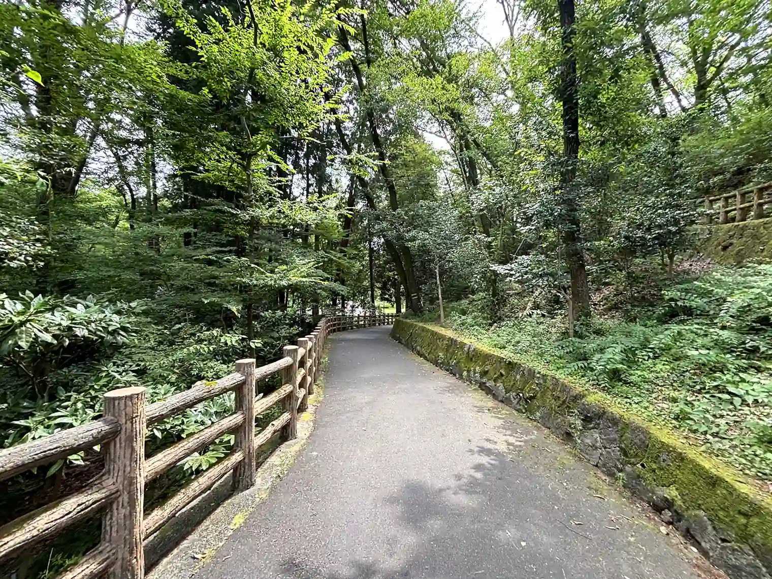 遊歩道