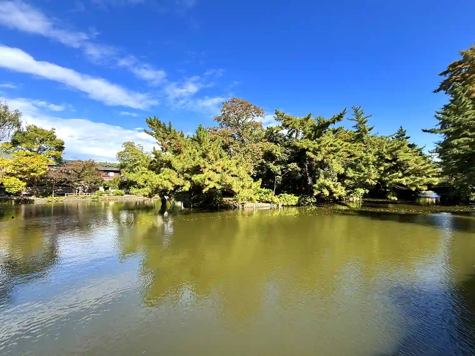 中の島
