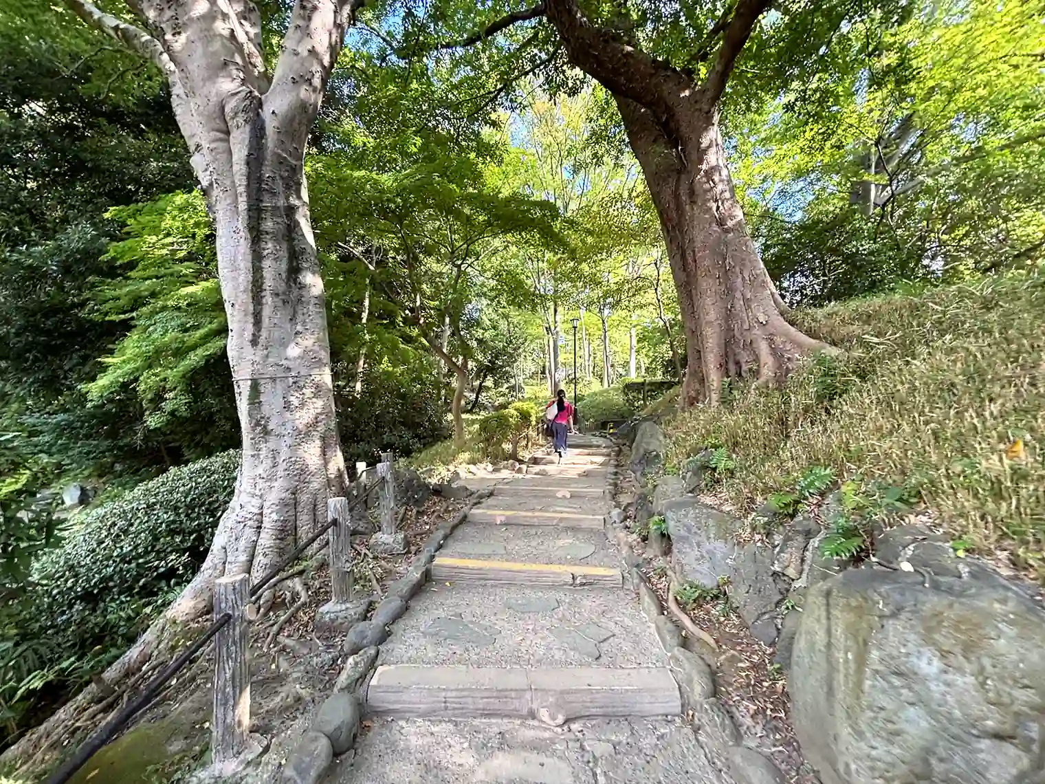 散策路