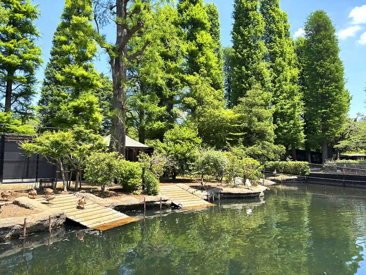 水生物園（分園）内