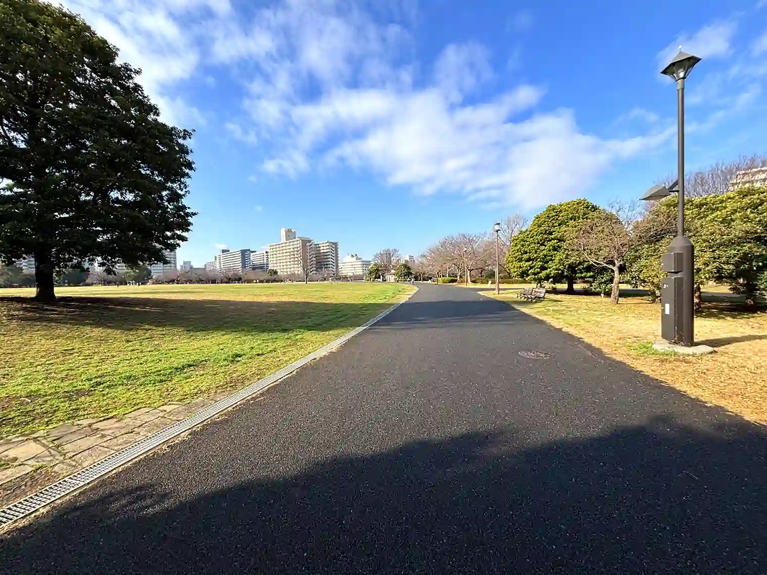 遊歩道（自由の広場エリア）