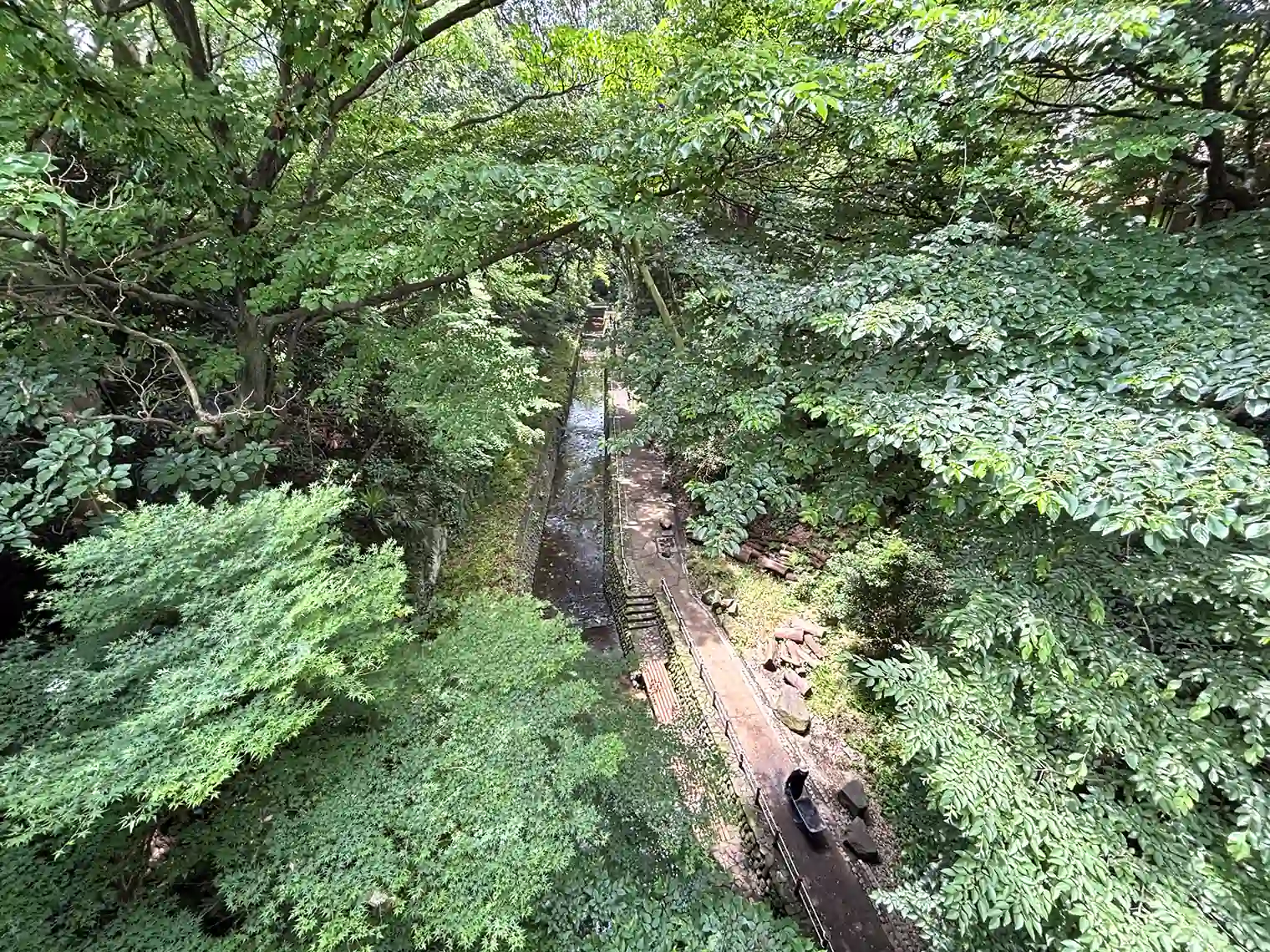 玉沢橋の上から見た等々力渓谷