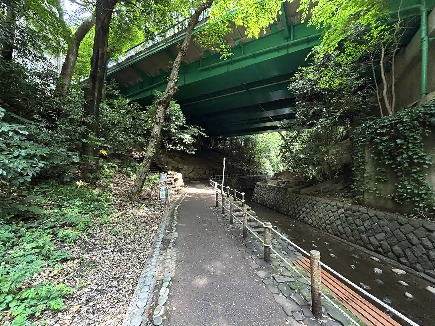 玉沢橋（環状8号線）