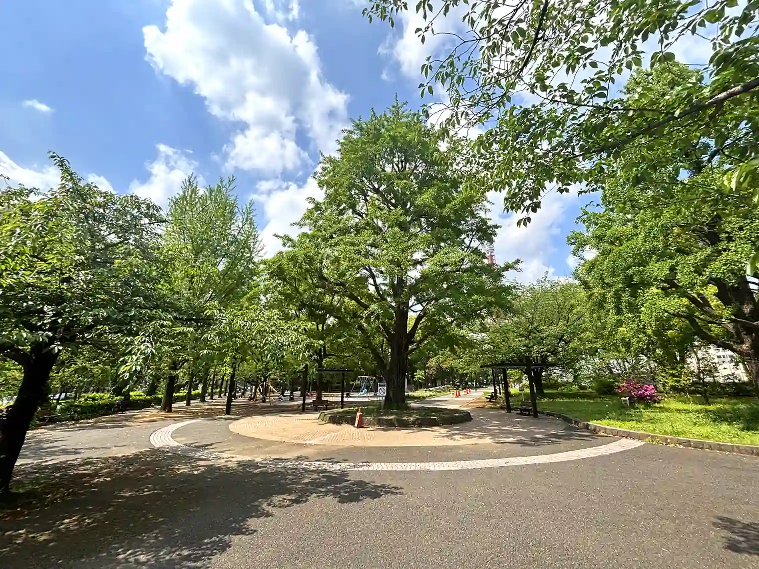 遊歩道（4号地）
