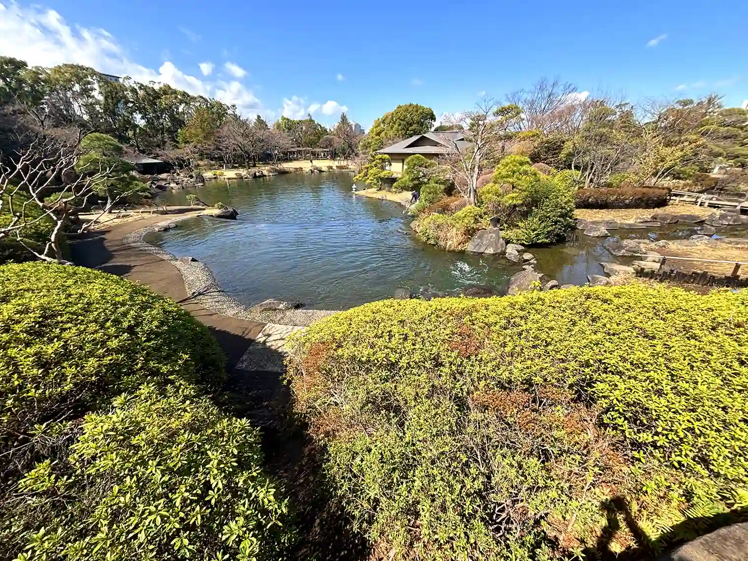 主池（江戸川平成庭園）
