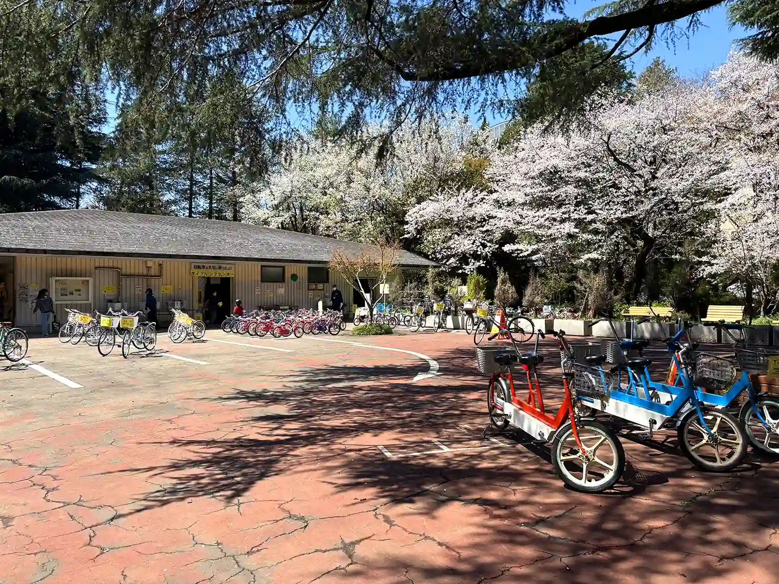 サイクリングセンター