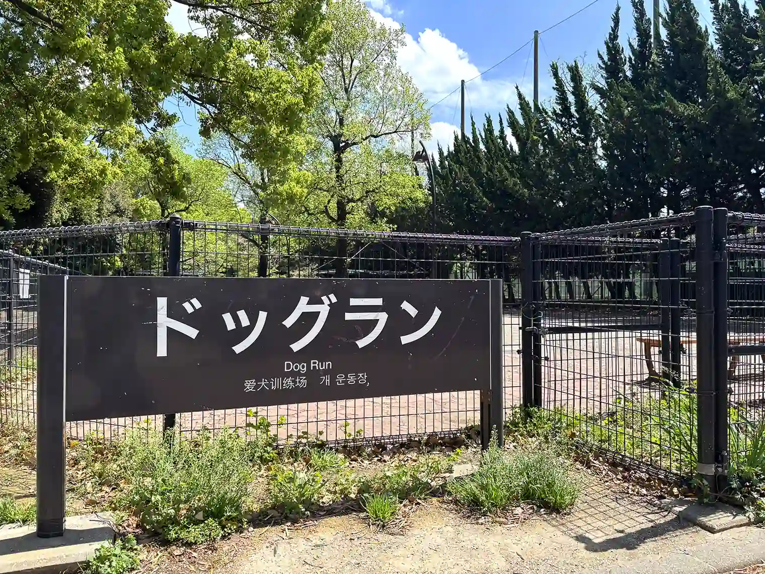 ドッグラン