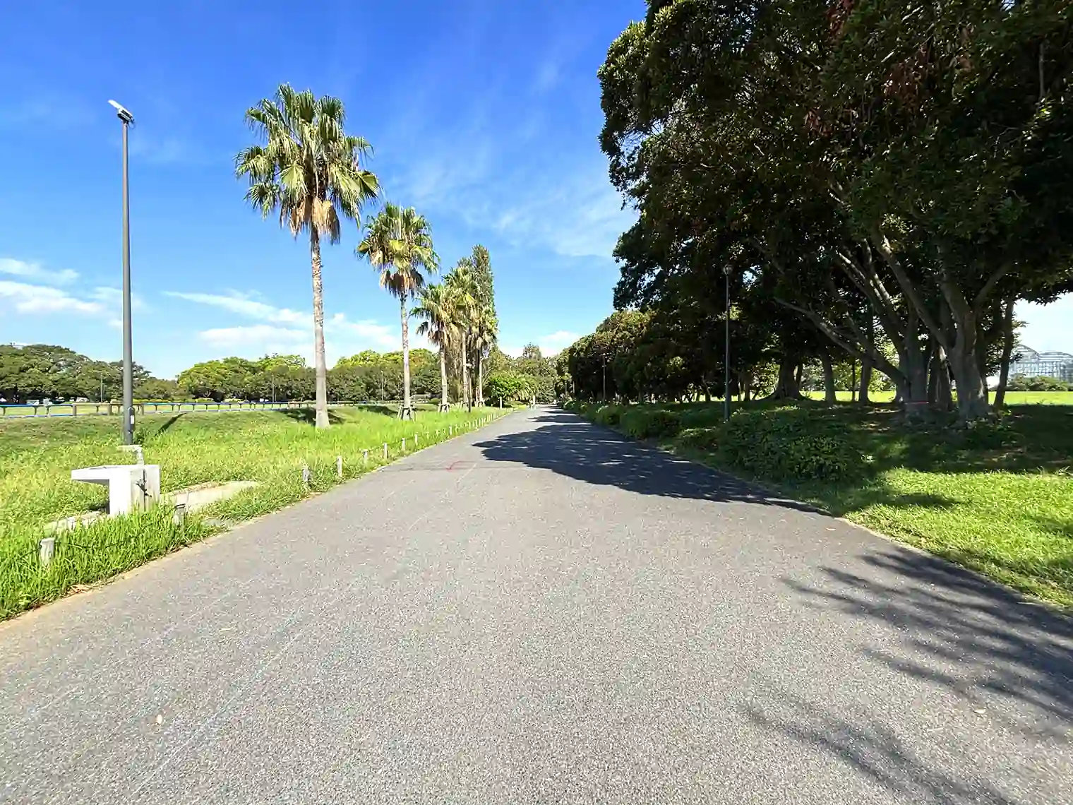 夢の島公園陸上競技場横の遊歩道