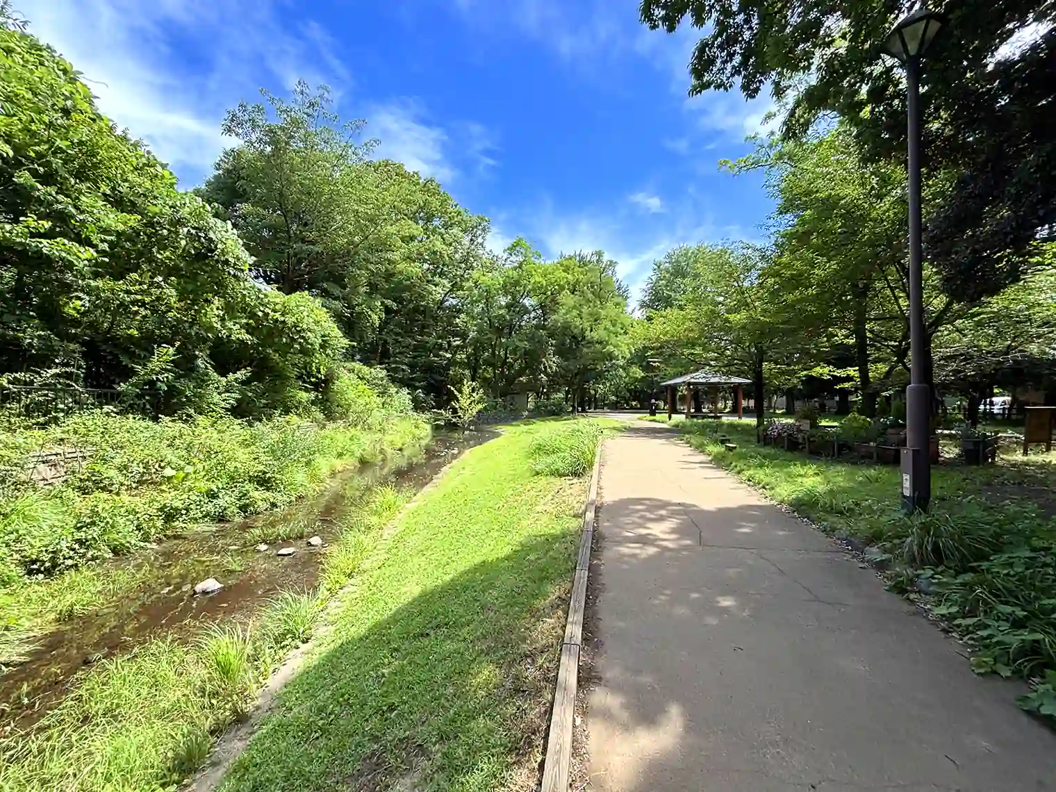 遅野井川横の遊歩道