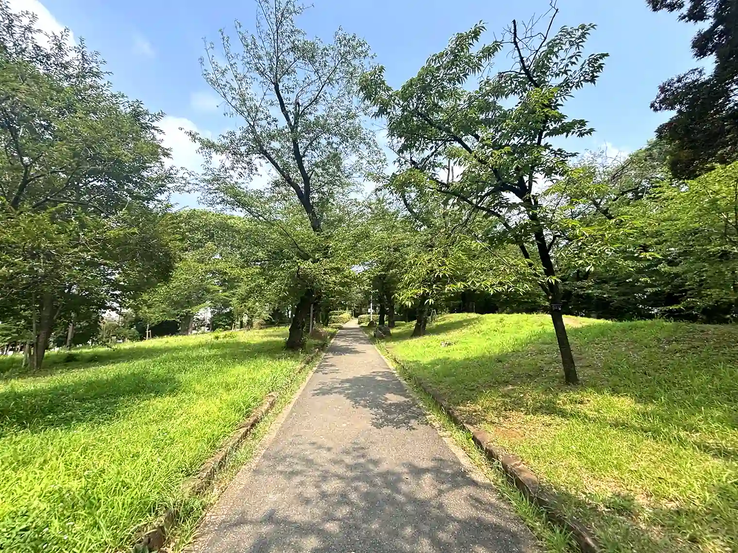 遊歩道