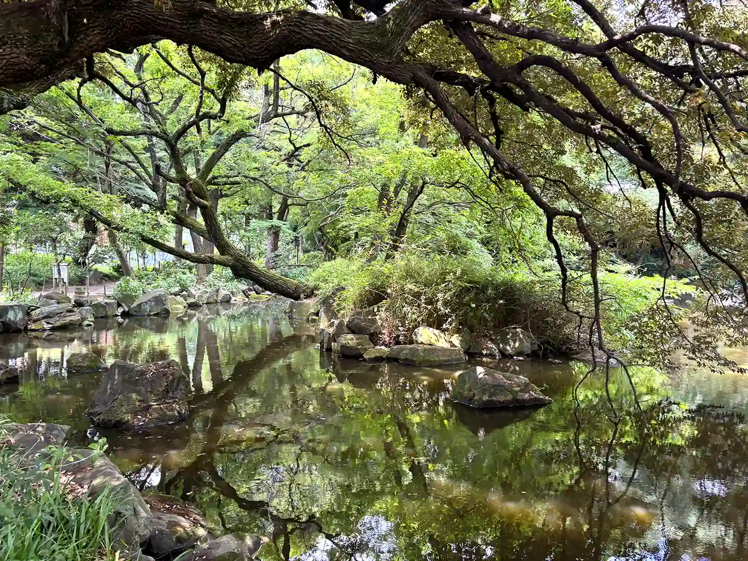 池
