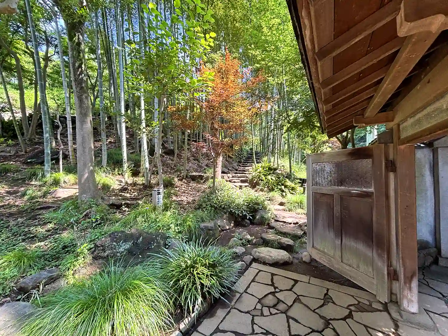 竹林（日本庭園）